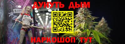 гашик Новокубанск