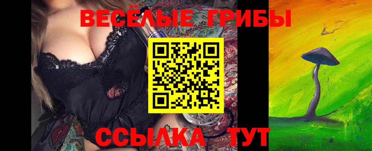 Галлюциногенные грибы прущие грибы  Вход с VPN  Фрязино 